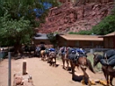 DCP00816.JPG