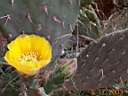 DCP00841.JPG