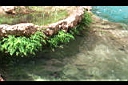 DCP_1169.JPG