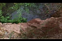 DCP_1175.JPG