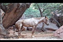 DCP_1218.JPG