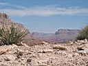 125-2549_IMG.JPG