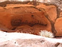 125-2552_IMG.JPG