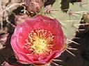 125-2553_IMG.JPG