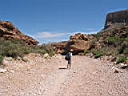 125-2554_IMG.JPG