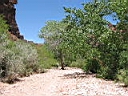 125-2557_IMG.JPG