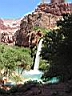 125-2561_IMG.JPG