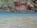 125-2566_IMG.JPG