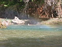 125-2570_IMG.JPG