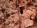 125-2588_IMG.JPG