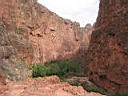125-2589_IMG.JPG