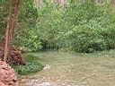 125-2600_IMG.JPG