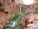 126-2616_IMG.JPG