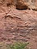 126-2619_IMG.JPG