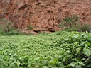 126-2623_IMG.JPG