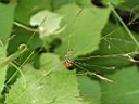 126-2628_IMG.JPG