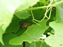 126-2632_IMG.JPG