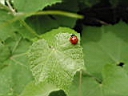 126-2635_IMG.JPG