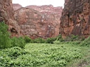 126-2636_IMG.JPG