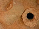 126-2641_IMG.JPG