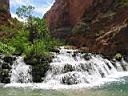 126-2654_IMG.JPG