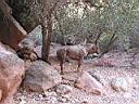 126-2663_IMG.JPG