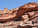 126-2667_IMG.JPG