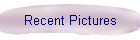 Recent Pictures